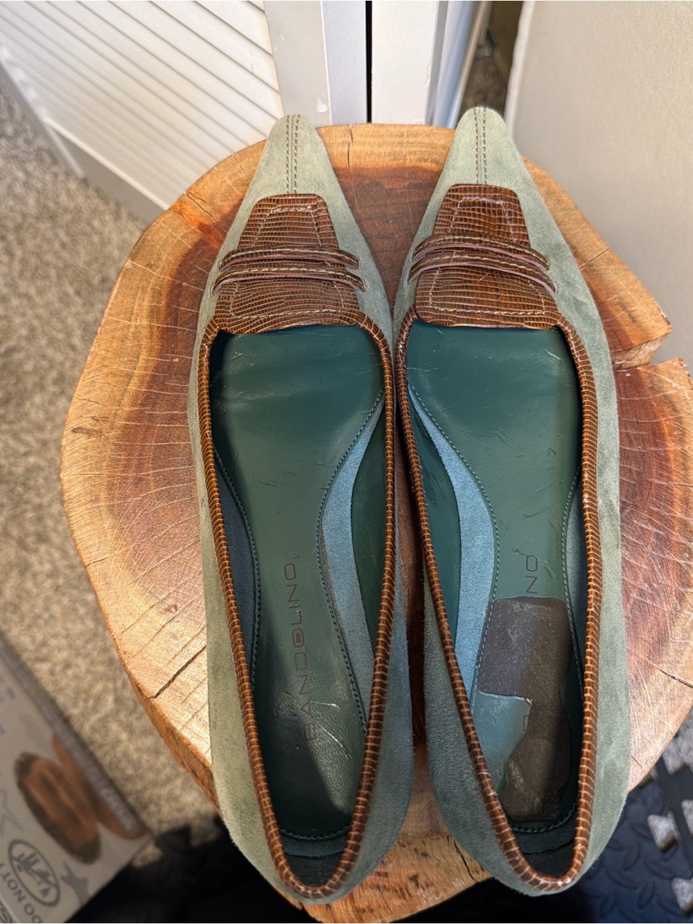 Pointed Toe Women's Flats in Olive Green with Brown Trim - Picture 3 of 6